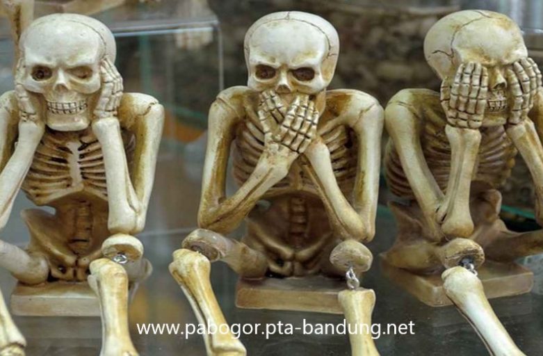 Osteoporosis: Bukan Hanya Masalah Usia